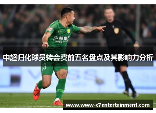 中超归化球员转会费前五名盘点及其影响力分析