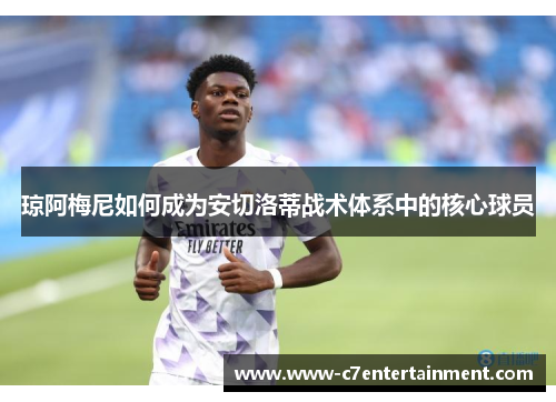 琼阿梅尼如何成为安切洛蒂战术体系中的核心球员