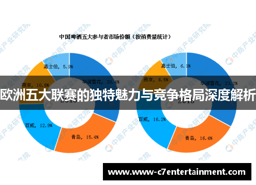 欧洲五大联赛的独特魅力与竞争格局深度解析