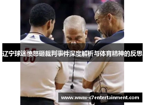 辽宁球迷愤怒砸裁判事件深度解析与体育精神的反思