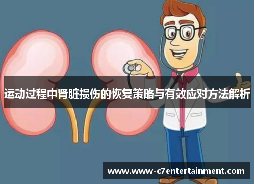 运动过程中肾脏损伤的恢复策略与有效应对方法解析