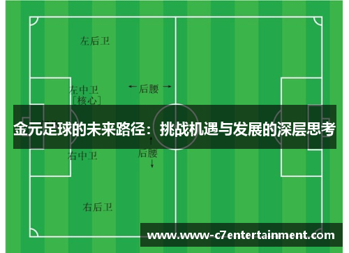 金元足球的未来路径：挑战机遇与发展的深层思考