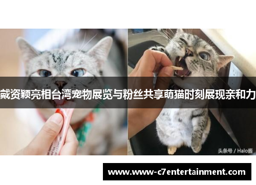 戴资颖亮相台湾宠物展览与粉丝共享萌猫时刻展现亲和力